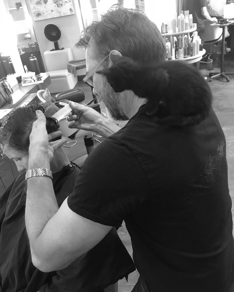 Jim Styling Hair With A Kitten